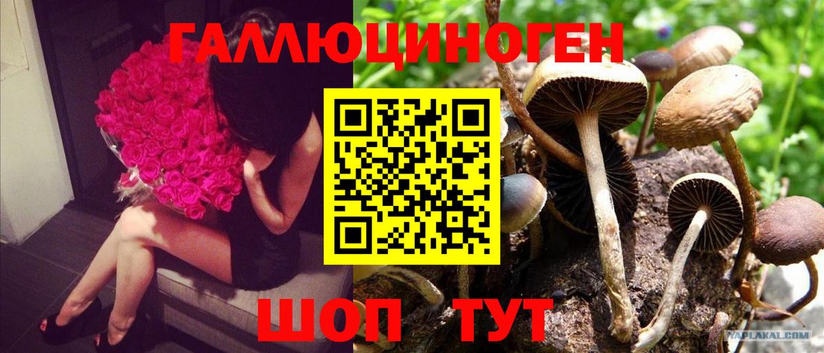 Псилоцибиновые грибы мицелий  Вход с VPN  Донецк  Галлюциногенные грибы Magic Shrooms 